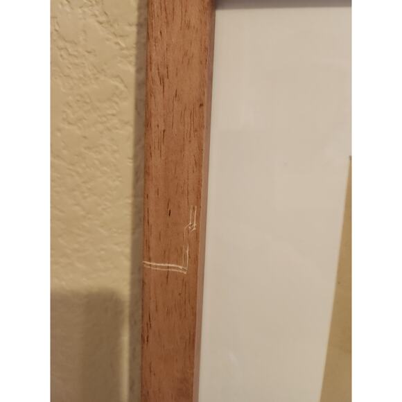 Framed J. & E. Gould - Nectarina Famosa Lithograph Print 17 1/2 x 21 1/2" - Picture 16 of 16